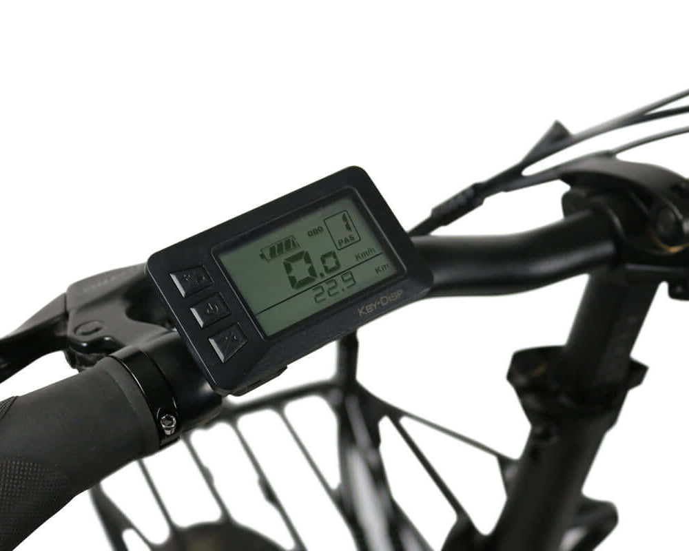 Blaupunkt Enno E-Bike - Modernes und vielseitiges E-Bike für jeden Tag