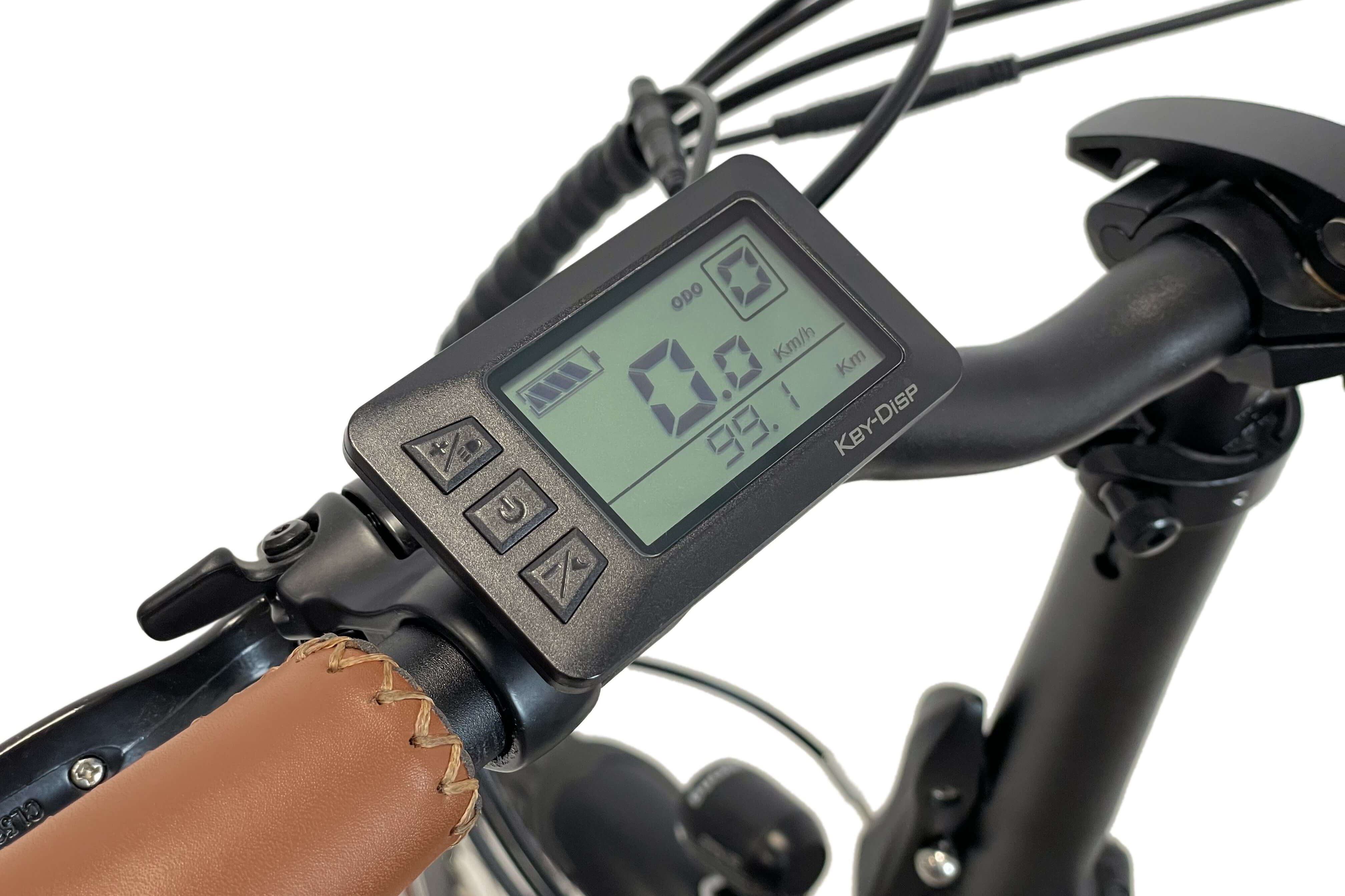 Blaupunkt Franzi E-Bike - Stilvolles und leistungsstarkes E-Bike für den Alltag