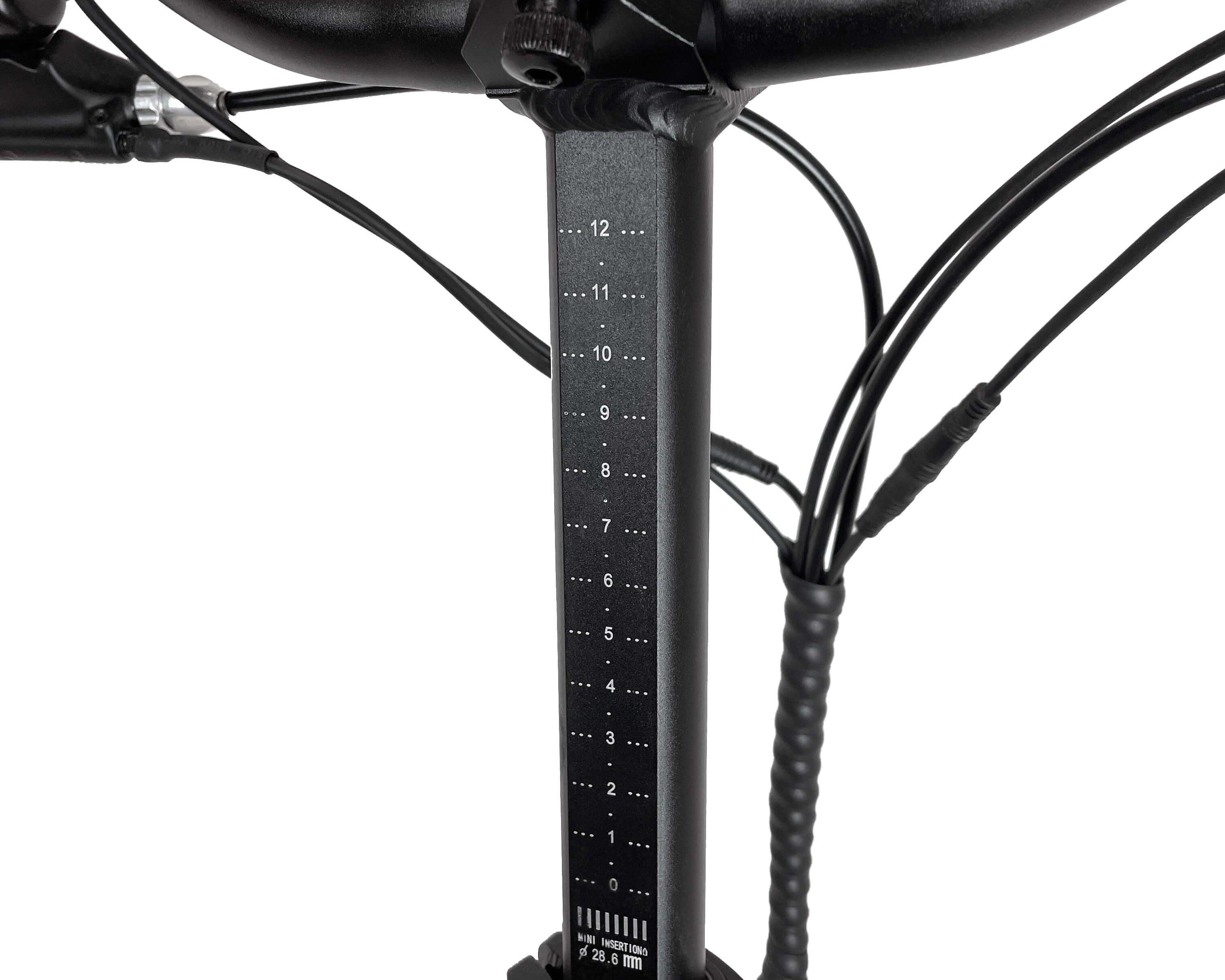 Blaupunkt Franzi E-Bike - Stilvolles und leistungsstarkes E-Bike für den Alltag