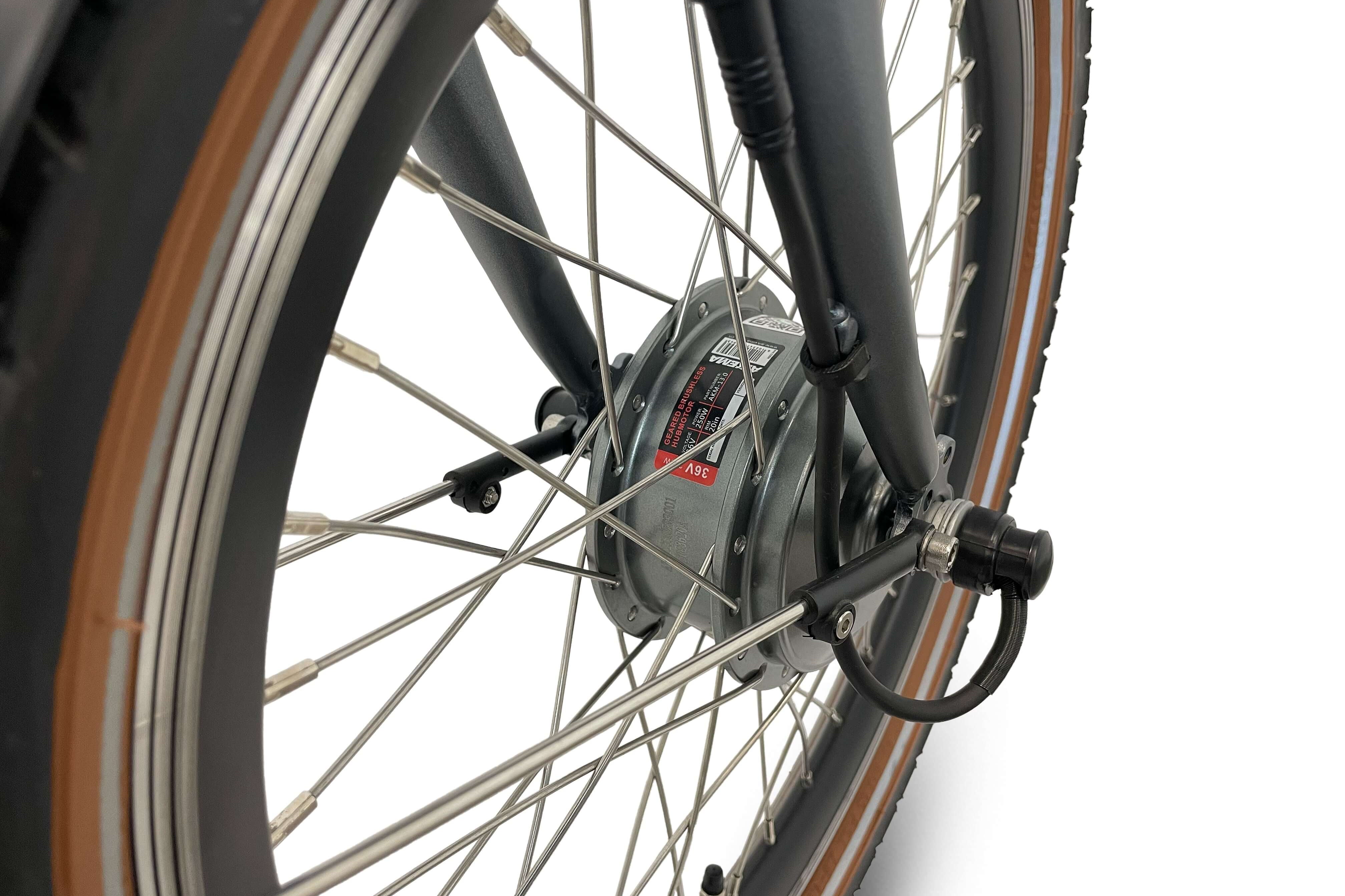 Blaupunkt Franzi E-Bike - Stilvolles und leistungsstarkes E-Bike für den Alltag