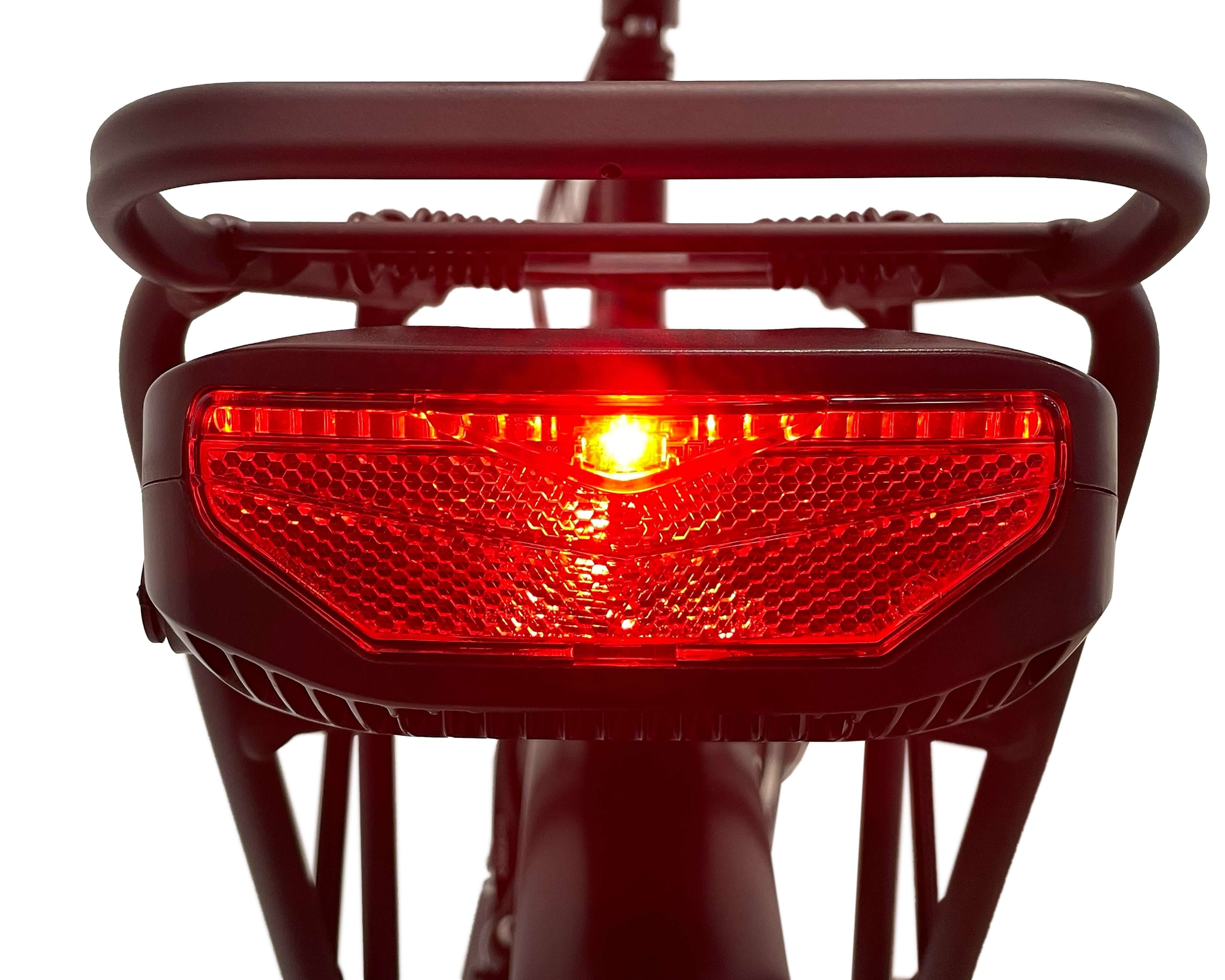 Blaupunkt Franzi E-Bike - Stilvolles und leistungsstarkes E-Bike für den Alltag