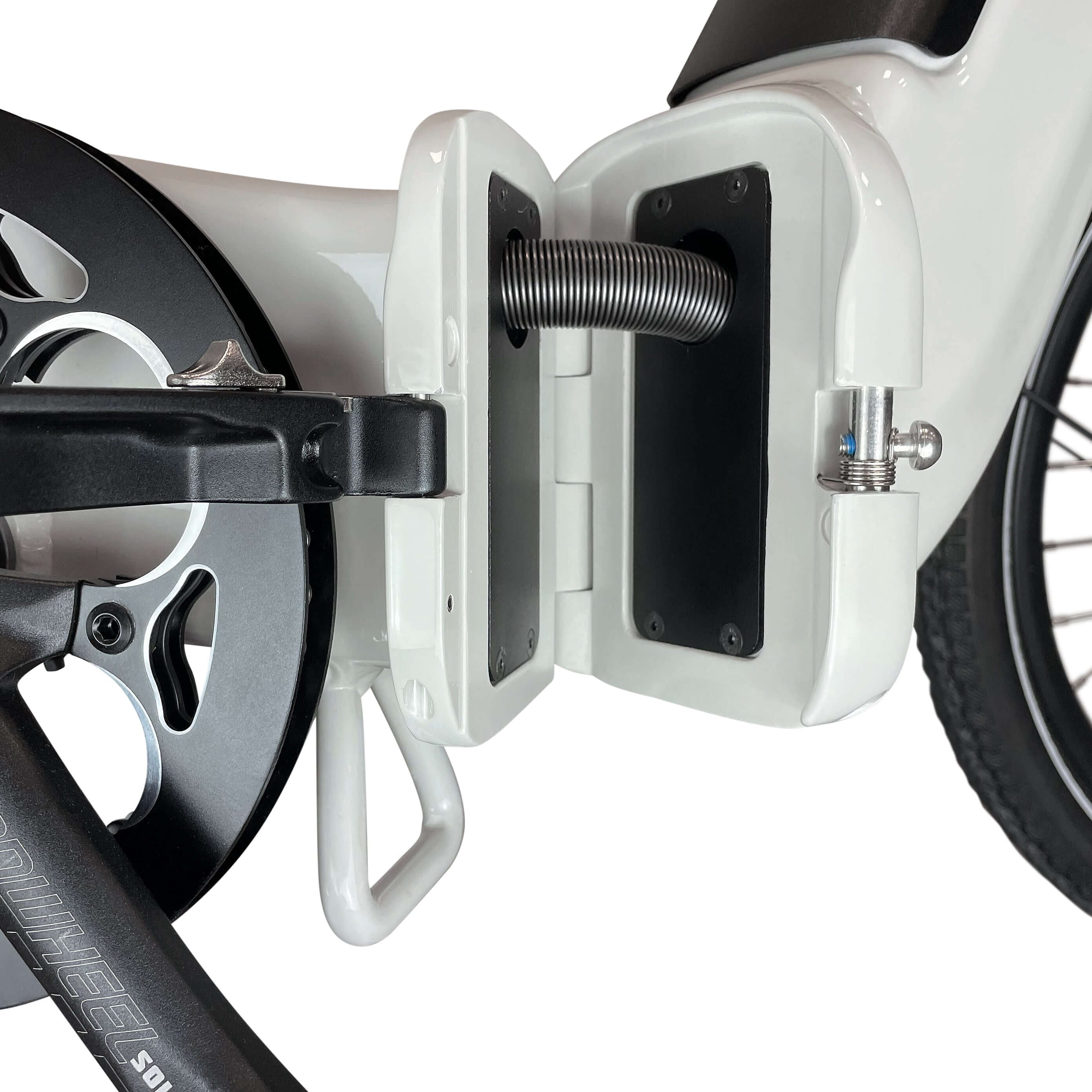 Blaupunkt Frida E-Bike - Modernes und vielseitiges E-Bike für den Alltag