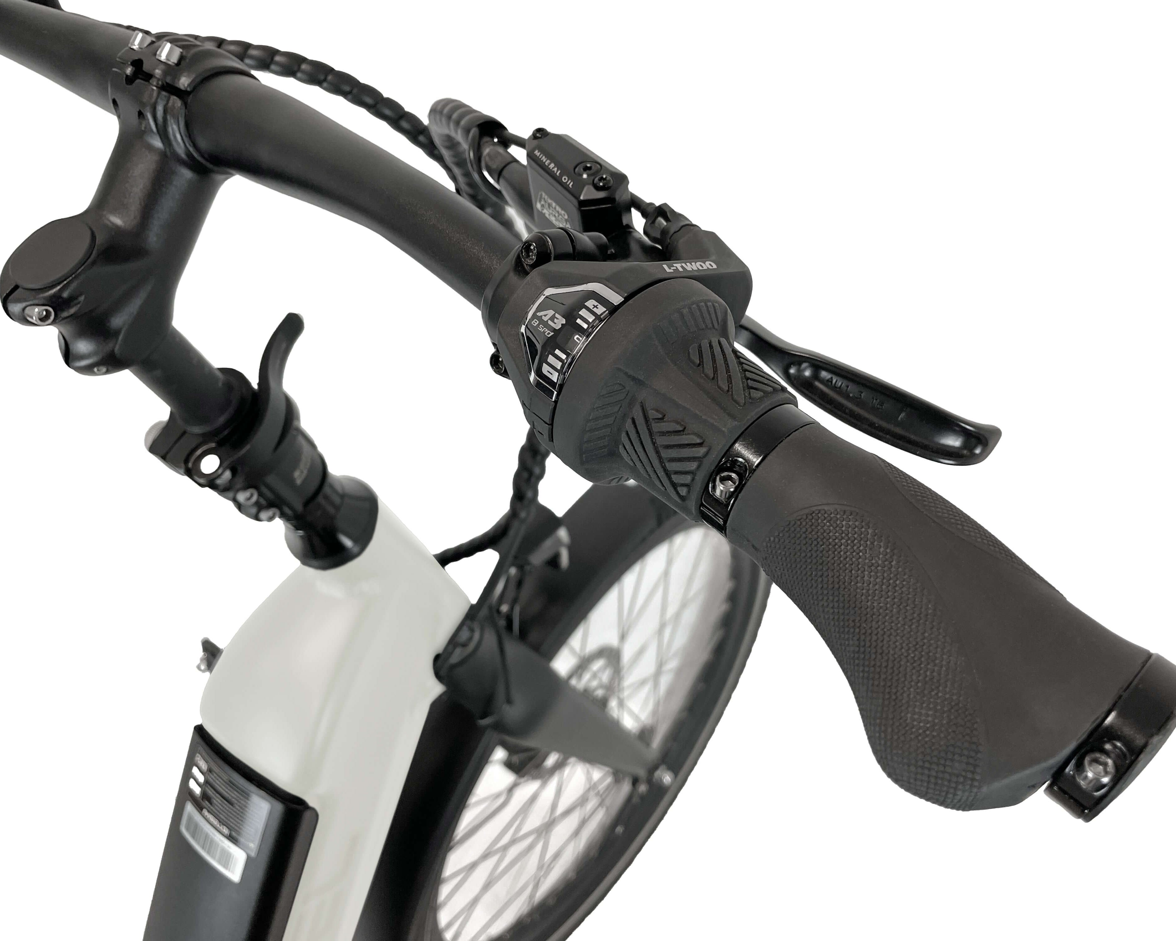 Blaupunkt Frida E-Bike - Modernes und vielseitiges E-Bike für den Alltag