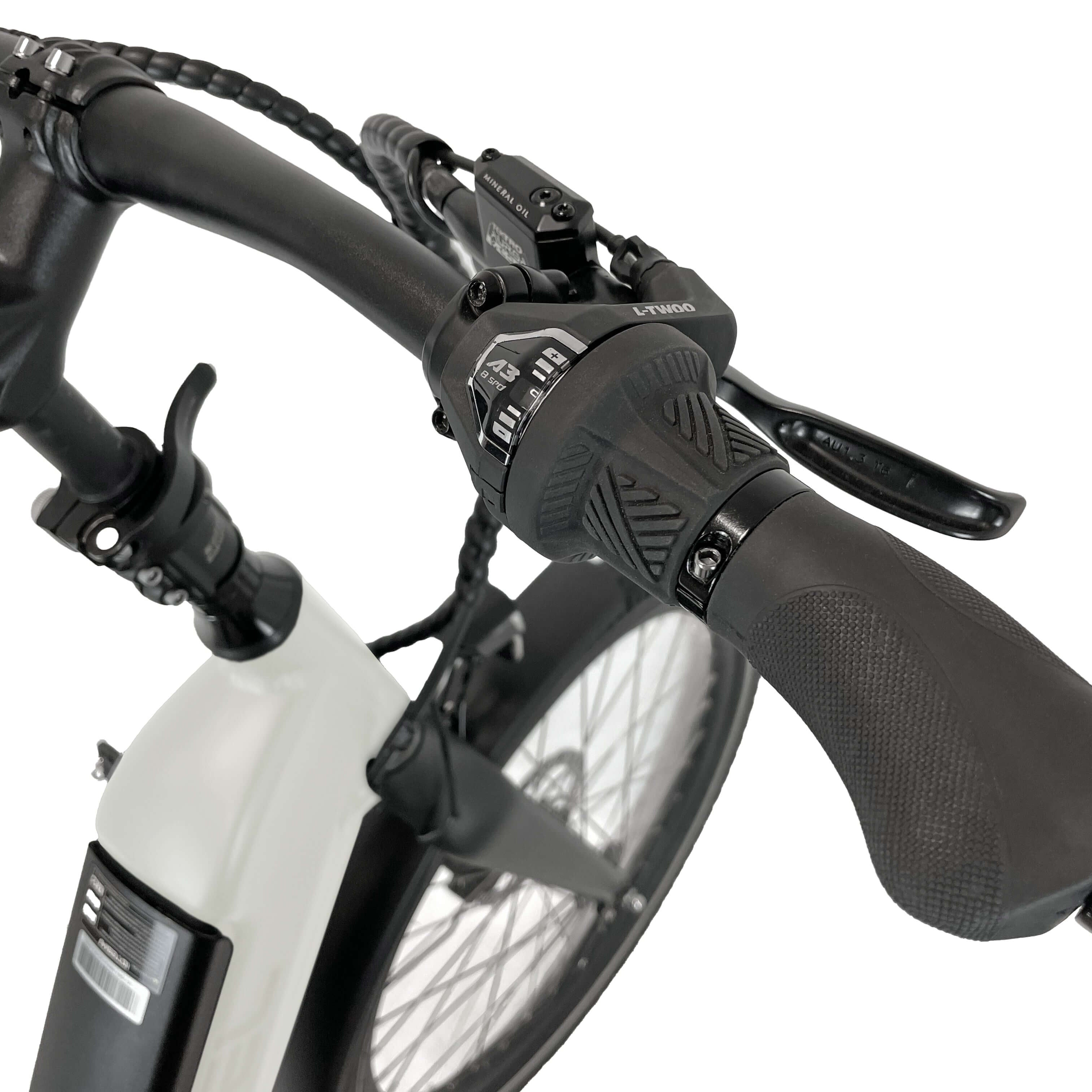 Blaupunkt Frida E-Bike - Modernes und vielseitiges E-Bike für den Alltag