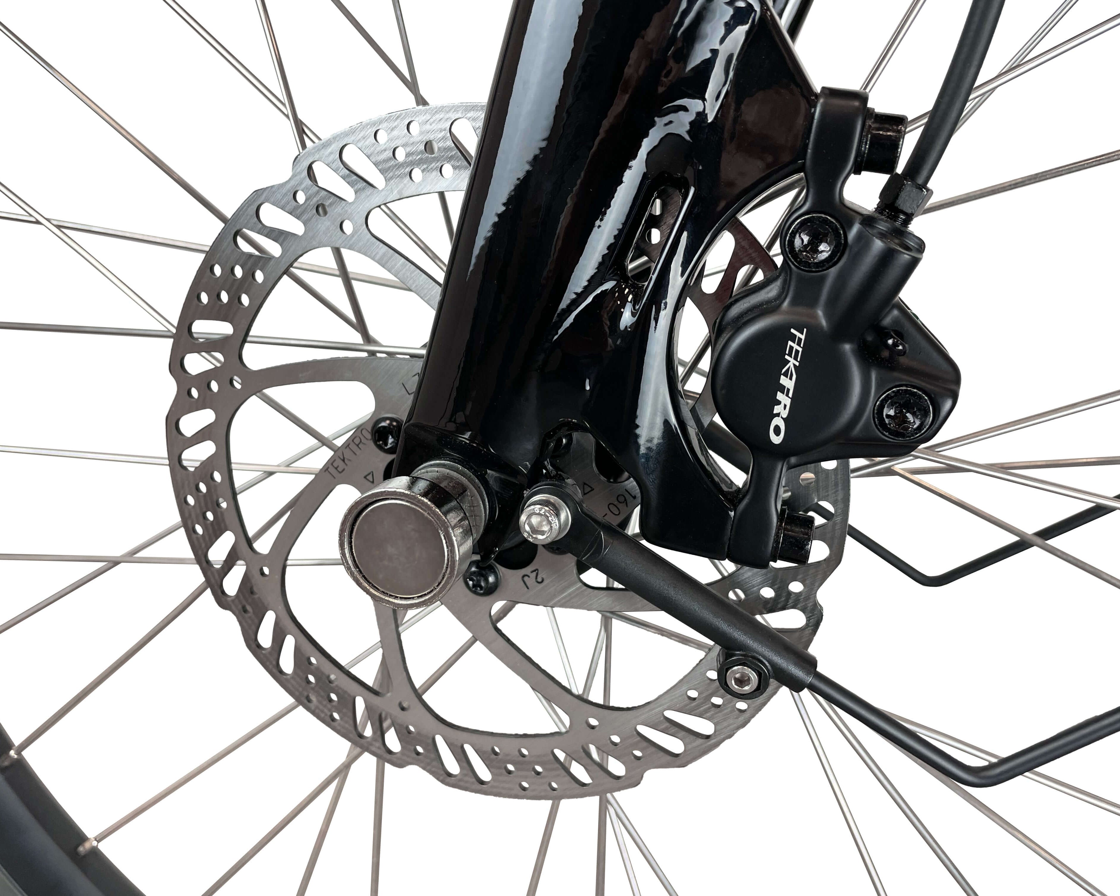 Blaupunkt Frida E-Bike - Modernes und vielseitiges E-Bike für den Alltag