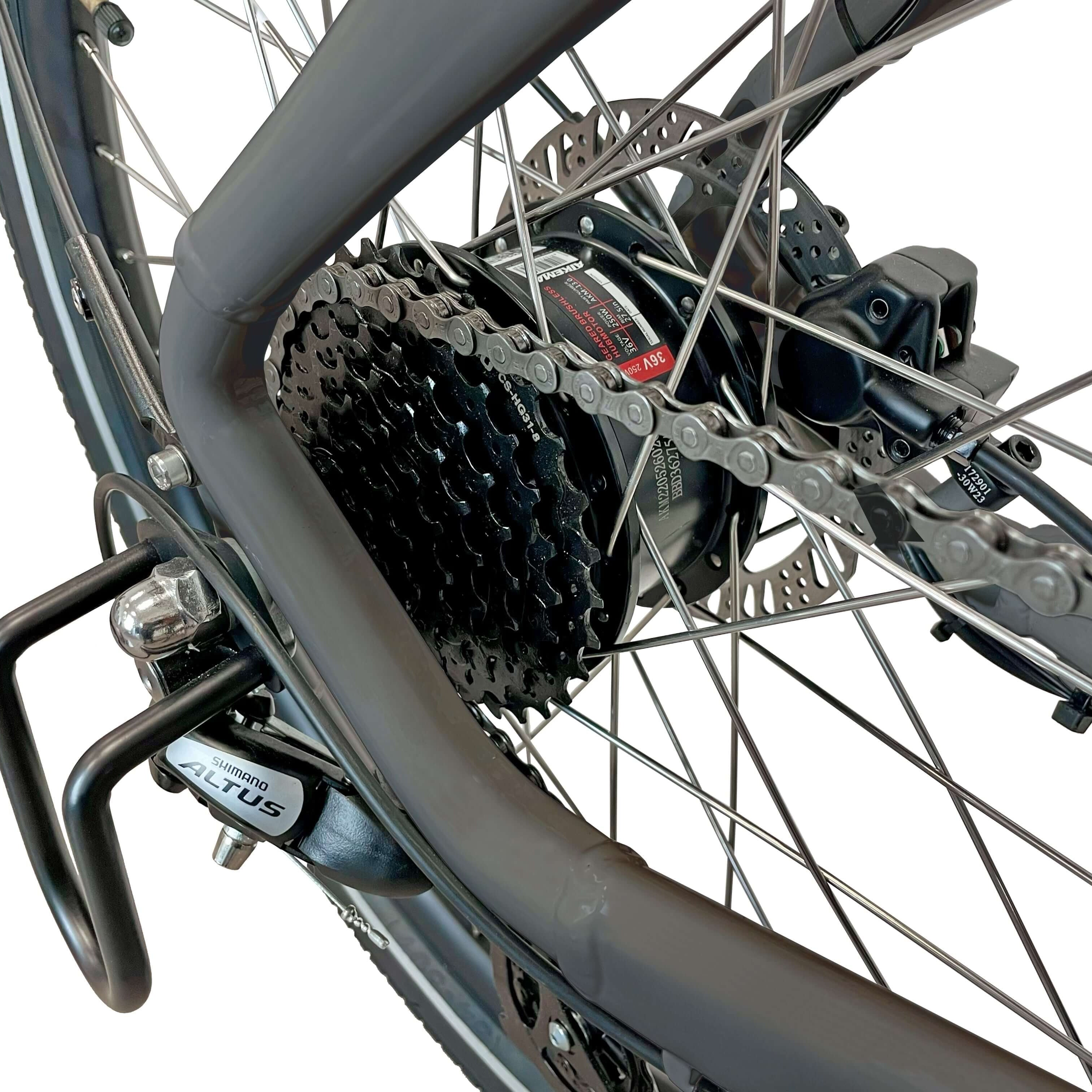 Blaupunkt Fridel E-Bike - Komfortables und zuverlässiges E-Bike für jeden Tag