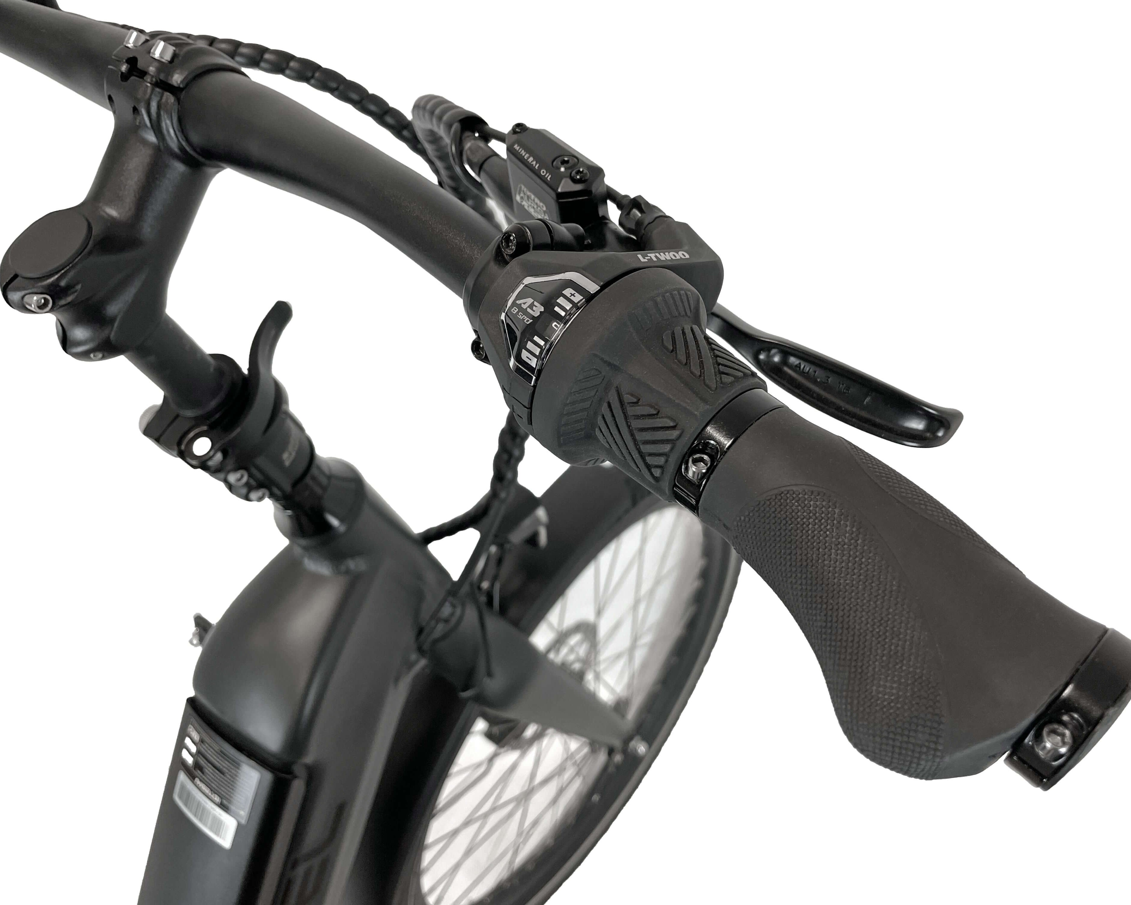 Blaupunkt Fridel E-Bike - Komfortables und zuverlässiges E-Bike für jeden Tag