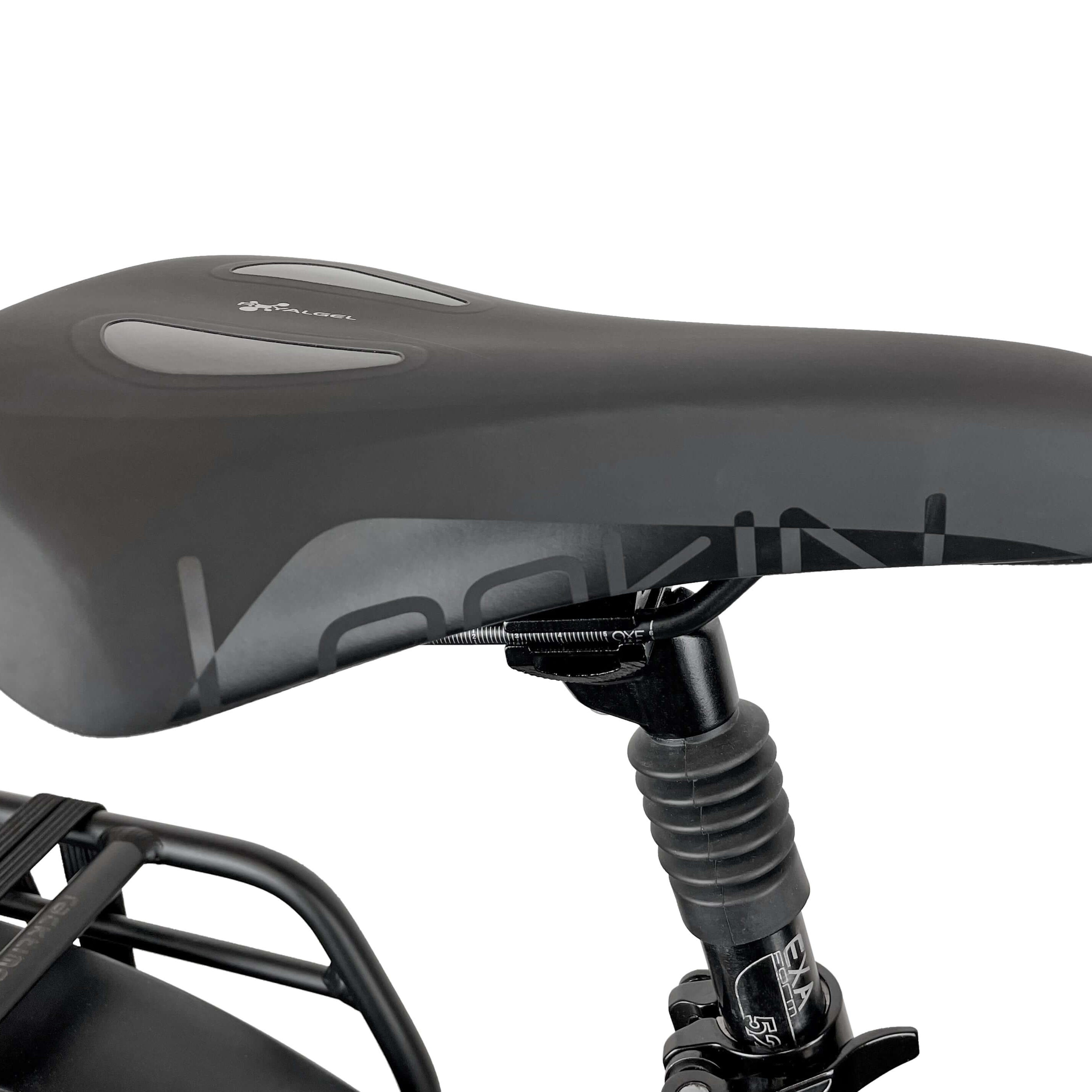 Blaupunkt Frida E-Bike - Modernes und vielseitiges E-Bike für den Alltag