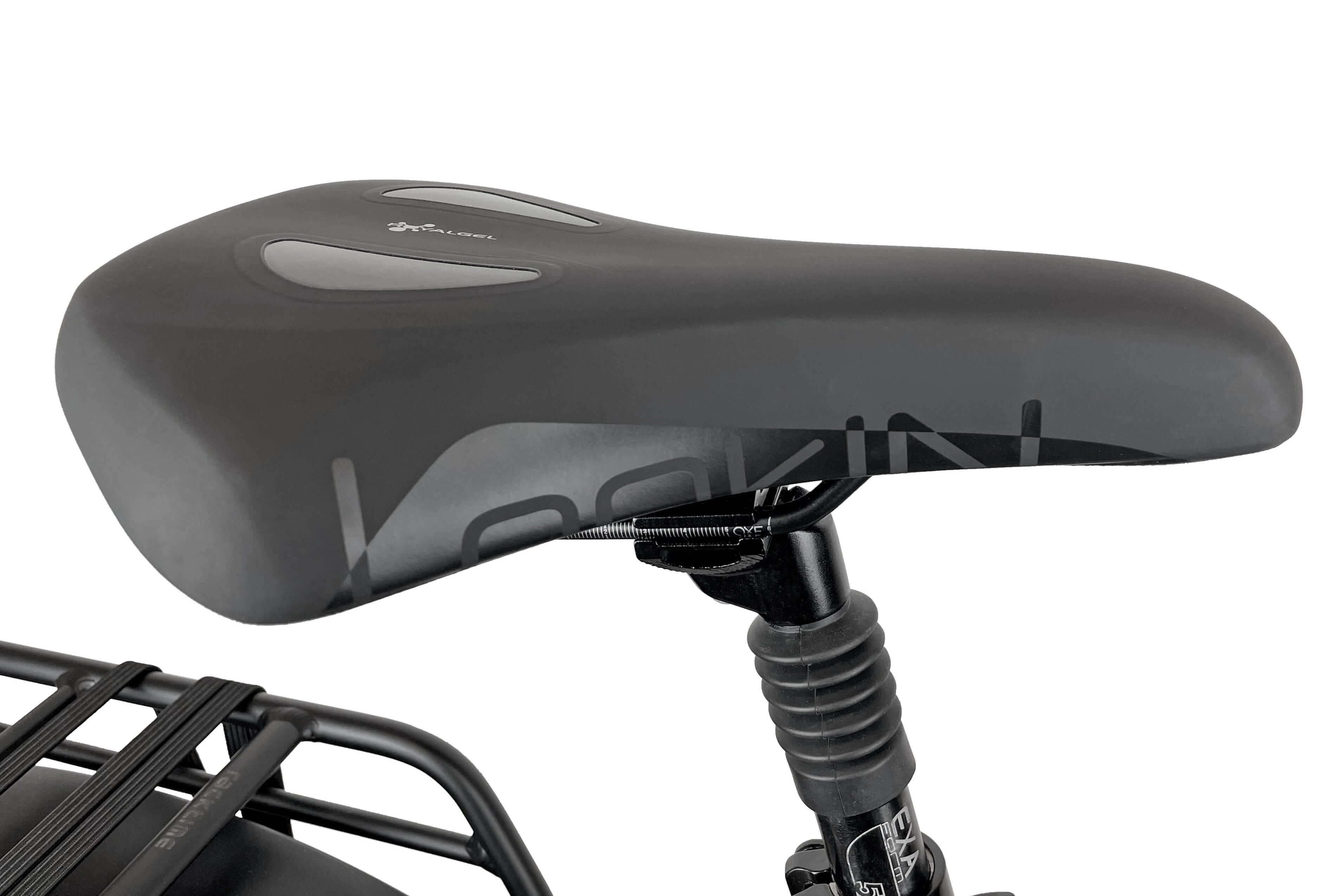 Blaupunkt Fridel E-Bike - Komfortables und zuverlässiges E-Bike für jeden Tag