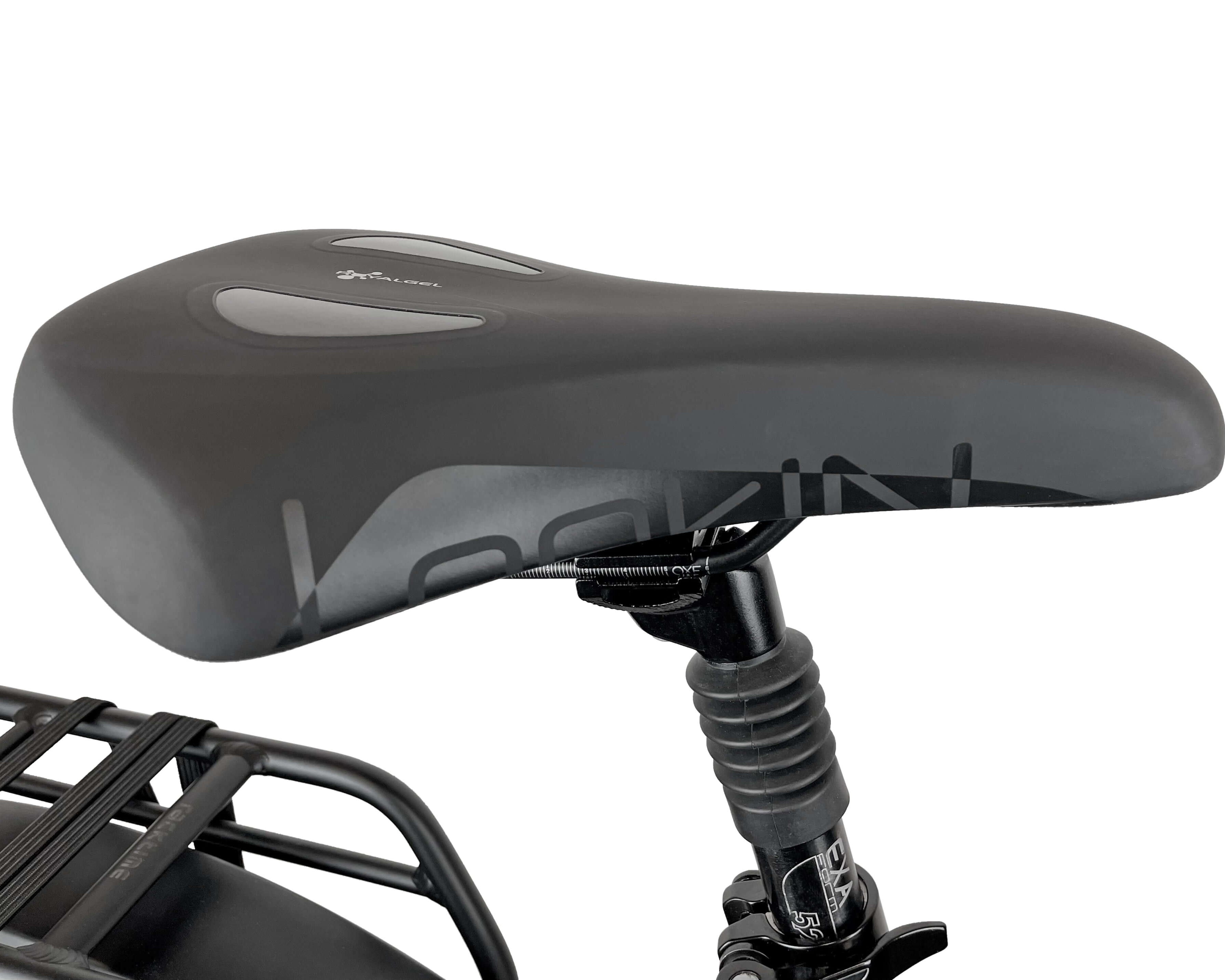 Blaupunkt Fridel E-Bike - Komfortables und zuverlässiges E-Bike für jeden Tag