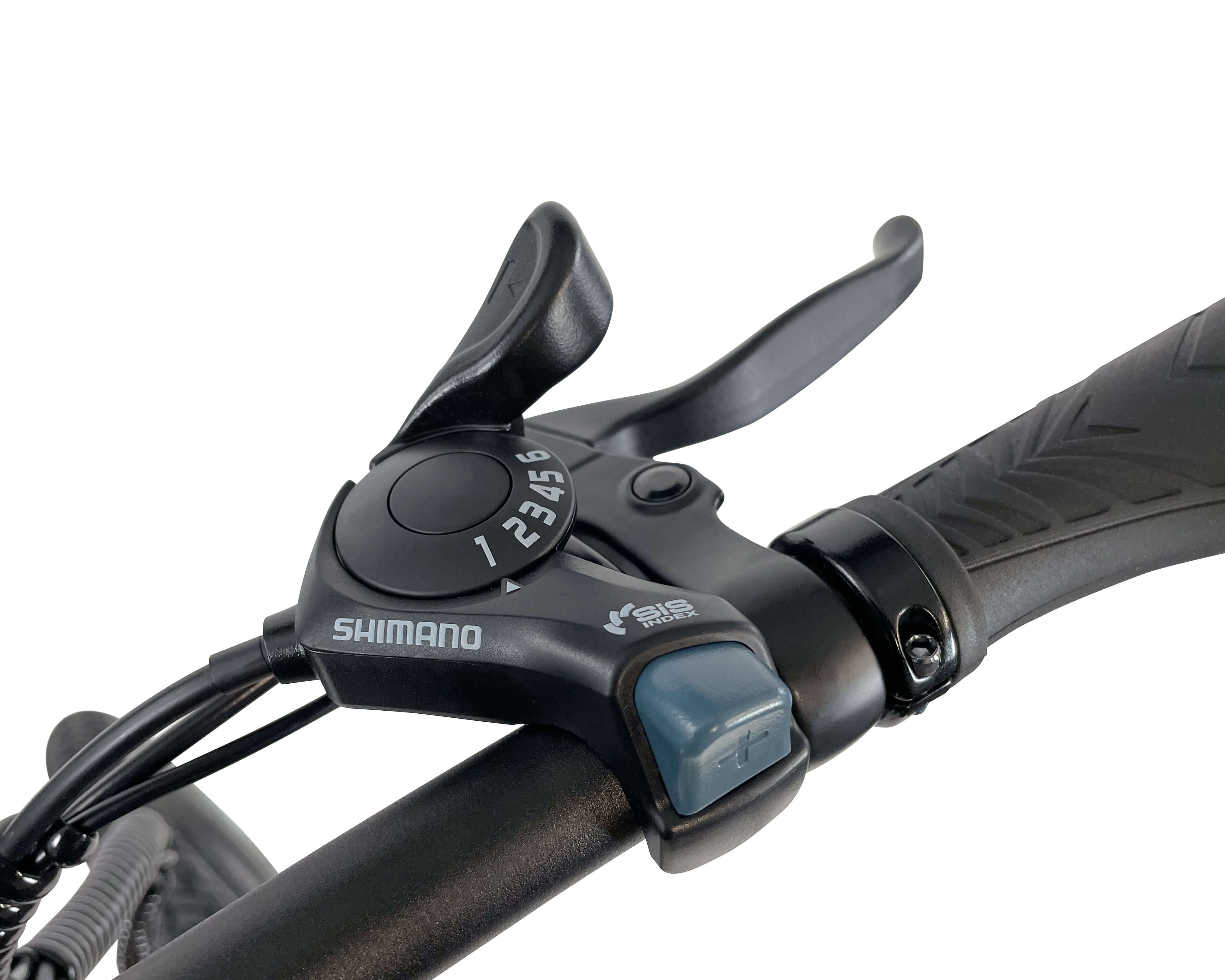 Blaupunkt Henri E-Bike - Zuverlässiges und komfortables E-Bike für den täglichen Gebrauch