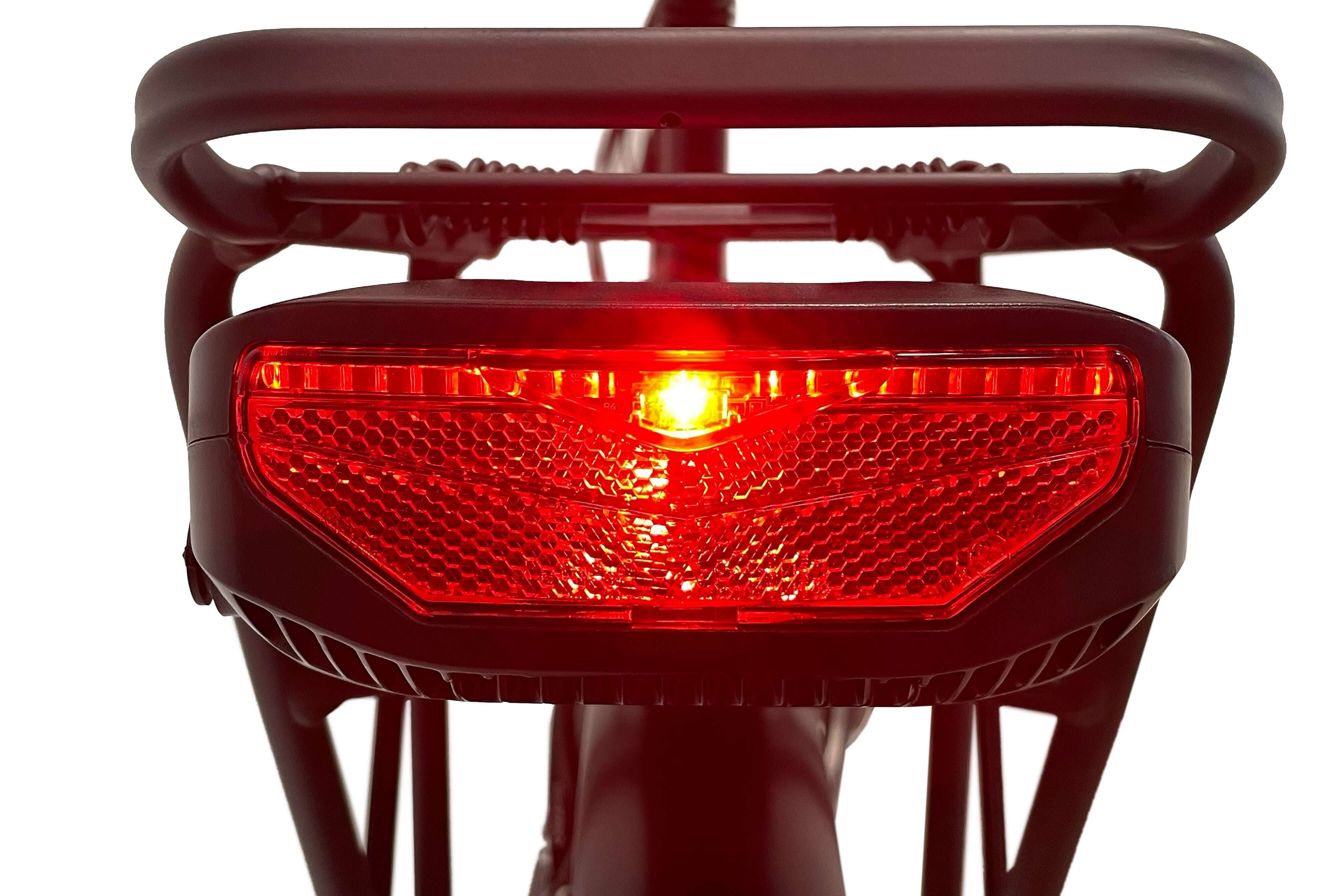 Blaupunkt Lotte E-Bike - Elegantes und robustes E-Bike für jede Fahrt