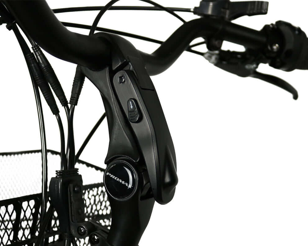 Blaupunkt Minna E-Bike - Kompaktes und leistungsstarkes E-Bike für den urbanen Gebrauch