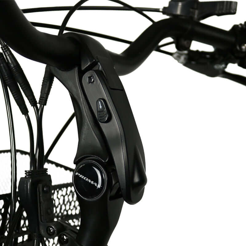 Blaupunkt Minna E-Bike - Kompaktes und leistungsstarkes E-Bike für den urbanen Gebrauch