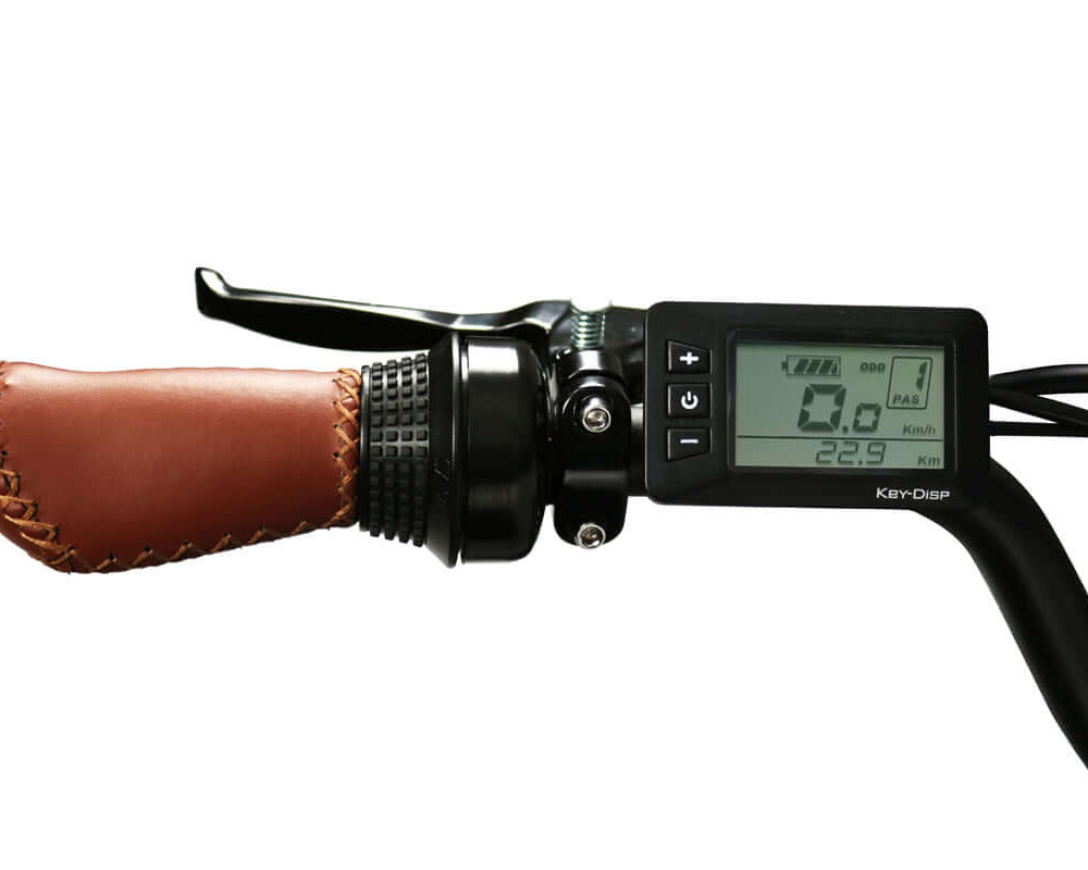 Blaupunkt Minna E-Bike - Kompaktes und leistungsstarkes E-Bike für den urbanen Gebrauch