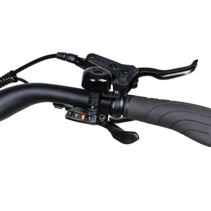 Lenkeransicht des Saxonette X-ROAD 5.2 E-Bikes mit Bedienelementen