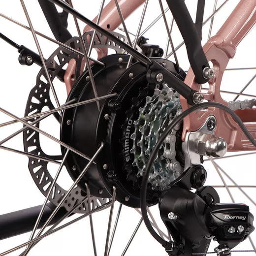 Hinterradnabe mit Motor am Saxonette Comfort Sport EASY E-Bike