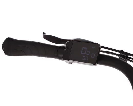 Lenkeransicht mit Bedienelementen am Saxonette Comfort Sport EASY E-Bike