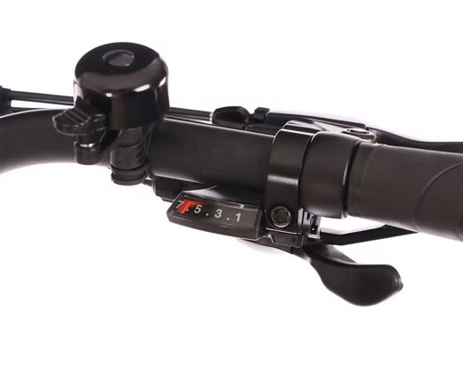 Lenkeransicht mit Bedienelementen am Saxonette Comfort Sport EASY E-Bike