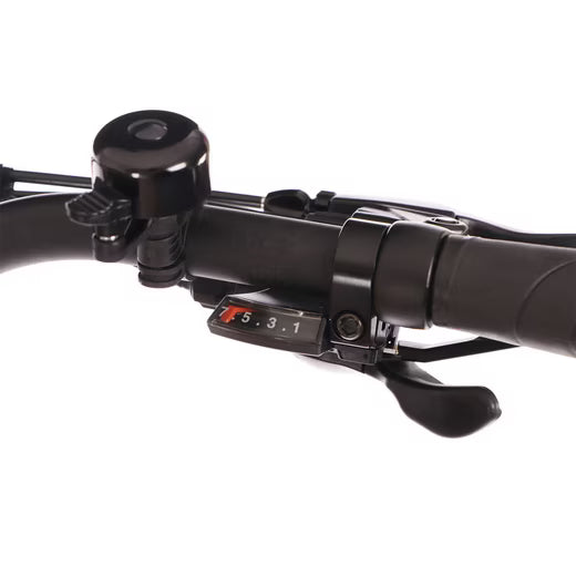 Lenkeransicht mit Bedienelementen am Saxonette Comfort Sport EASY E-Bike