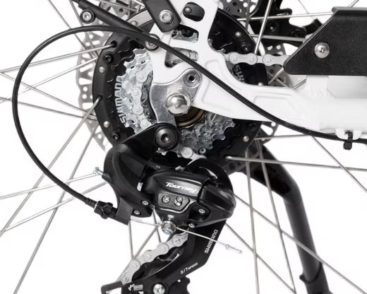 Nahaufnahme des Hinterrads mit Antrieb am Saxonette Comfort Sport EASY E-Bike