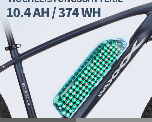 Saxx Everest 2.0 E-MTB Akku 374 Wh – entnehmbar und abschließbar