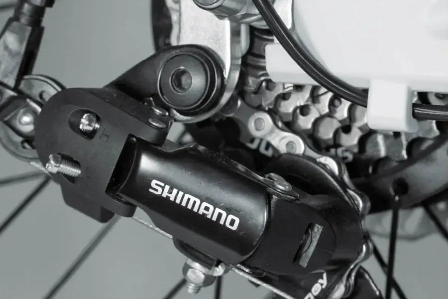 Hinterrad mit Schaltwerk und Kette des Berlin Bike 2GO E-Bikes, optimiert für präzises Schalten