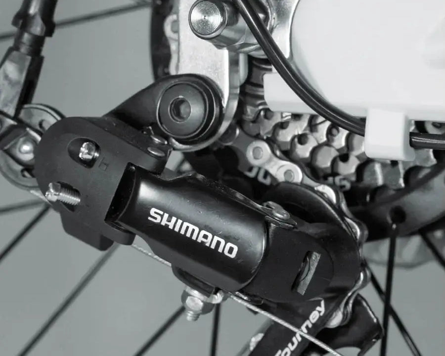 Hinterrad mit Schaltwerk und Kette des Berlin Bike 2GO E-Bikes, optimiert für präzises Schalten