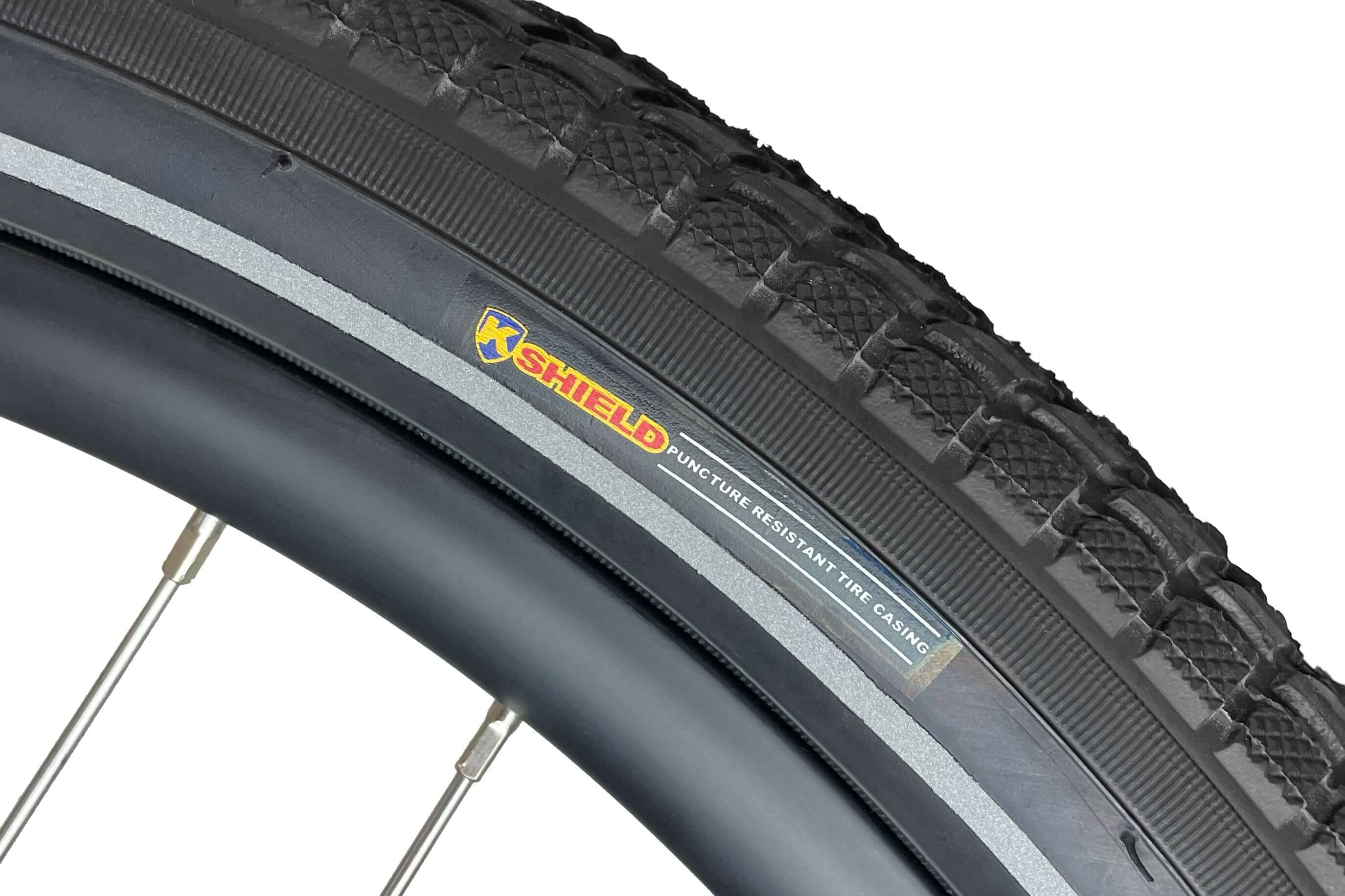 Blaupunkt Frida E-Bike - Modernes und vielseitiges E-Bike für den Alltag