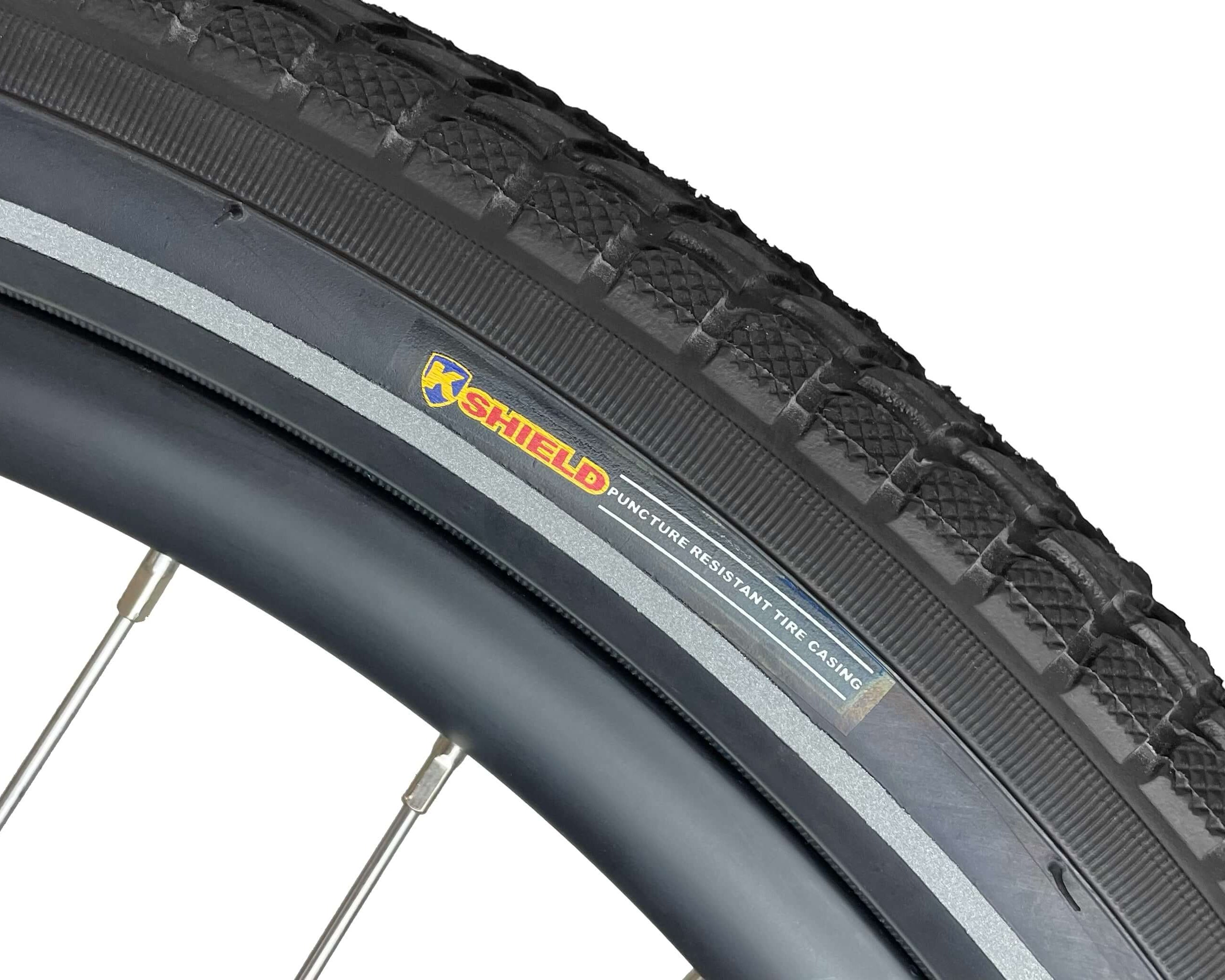 Blaupunkt Frida E-Bike - Modernes und vielseitiges E-Bike für den Alltag