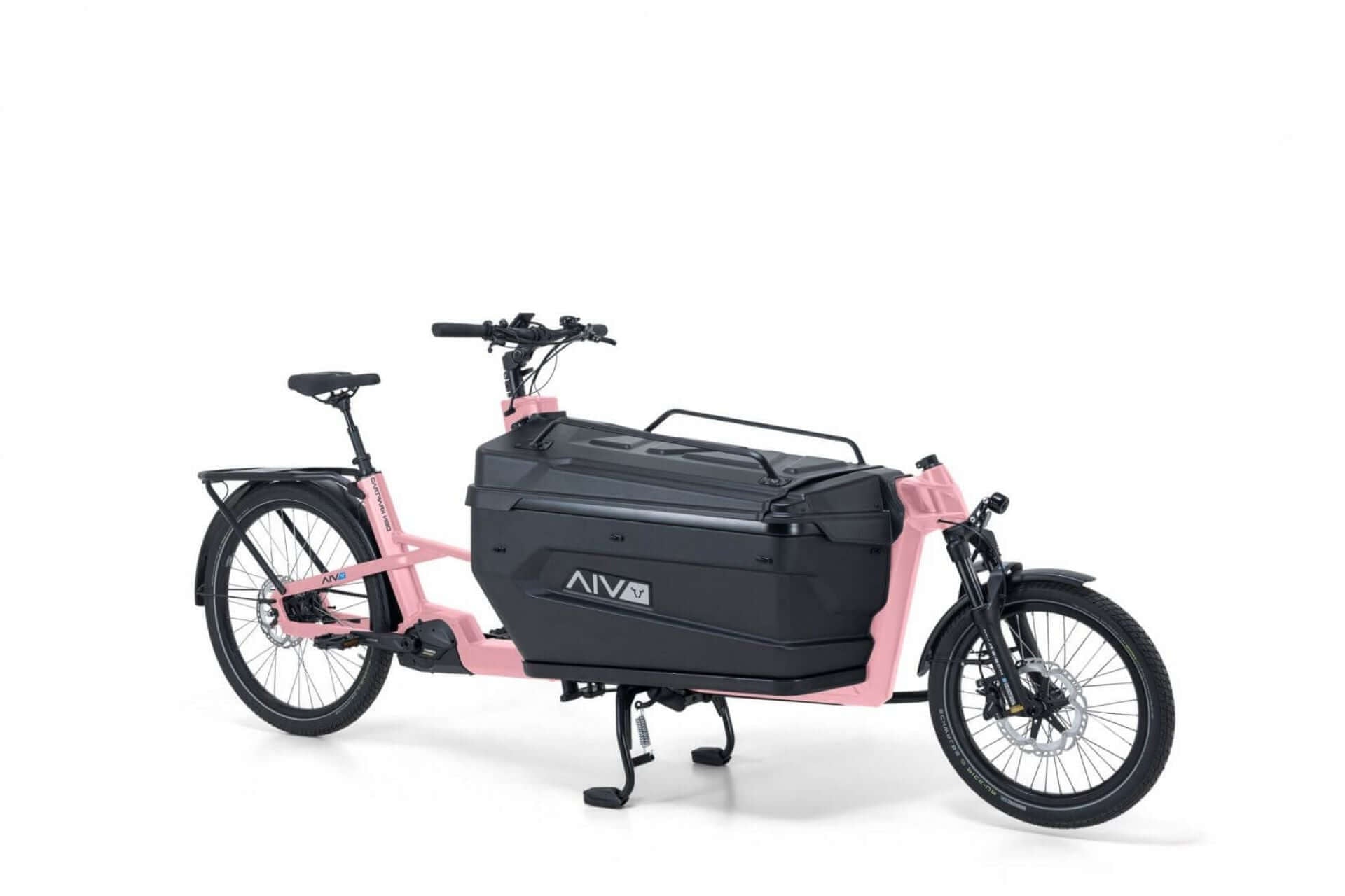VIA Cargo E-Lastenrad in modernem Design mit geräumiger Ladefläche für Transport und Freizeit.
