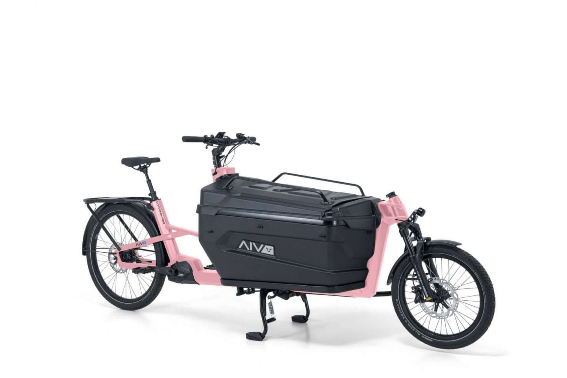VIA Cargo E-Lastenrad in modernem Design mit geräumiger Ladefläche für Transport und Freizeit.