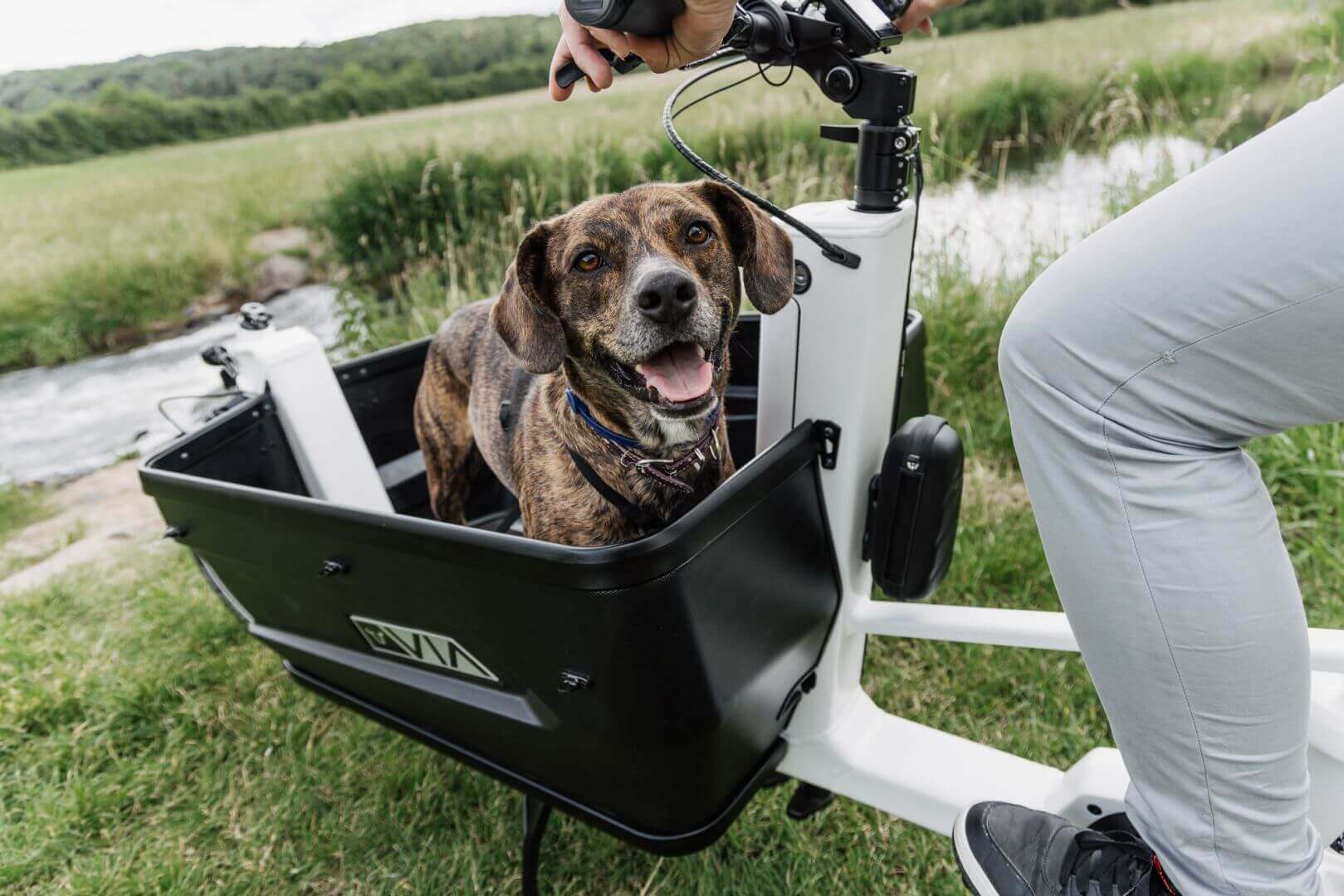 E-Bikes online kaufen – Überblick zu Modellen und Kaufkriterien