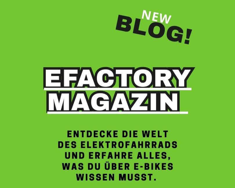 E-Bike Leitfaden – Ratgeber für Kauf, Wartung und Fahrspaß