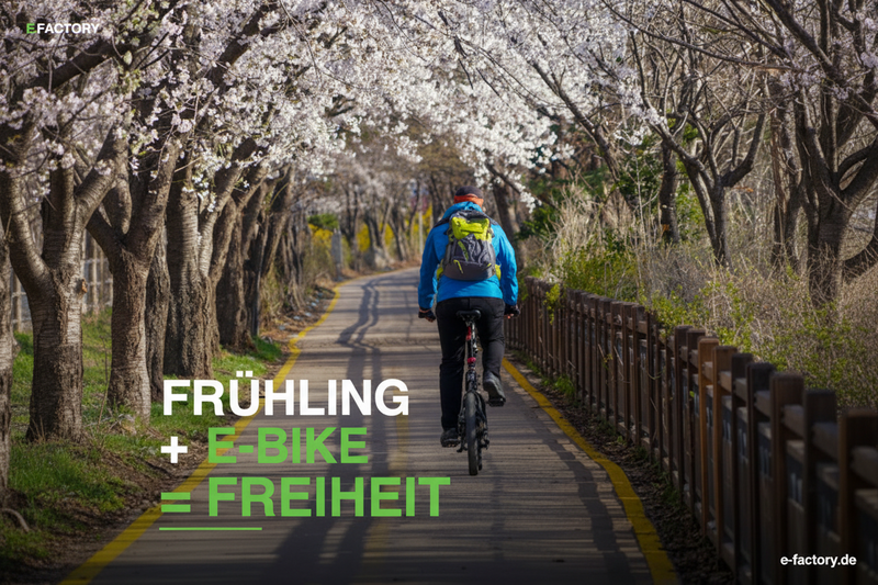 E-Bike Kaufberatung 2026: Dein Guide für den perfekten Saisonstart