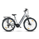 ROVER Trekking E-Bike TLM 709 in Silber mit Tiefeinstiegrahmen und Gepäckträger, ideal für Outdoor-Abenteuer und den täglichen Pendelverkehr.