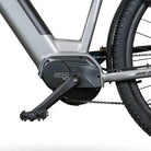 Großaufnahme des Bafang M200 Motors und Pedalsystems des ROVER Trekking E-Bike TLM 709.