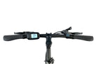 Blaupunkt Henri E-Bike - Zuverlässiges und komfortables E-Bike für den täglichen Gebrauch