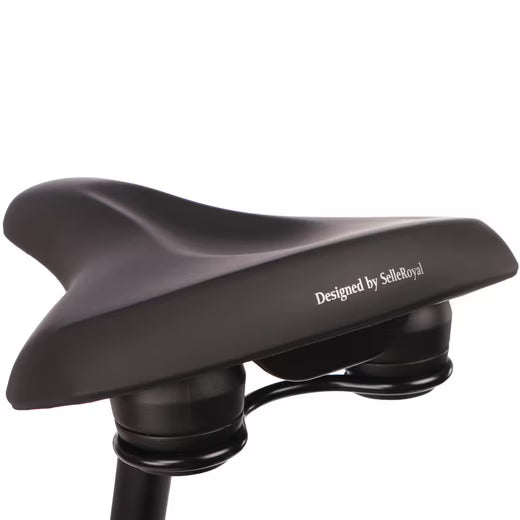 Sattelansicht des Saxonette Comfort Sport EASY E-Bikes