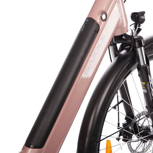Rahmenseitendetail mit Vorderrad am Saxonette Comfort Sport EASY E-Bike