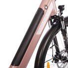 Rahmenseitendetail mit Vorderrad am Saxonette Comfort Sport EASY E-Bike