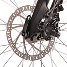 Vorderrad mit Scheibenbremse am Saxonette Comfort Sport EASY E-Bike