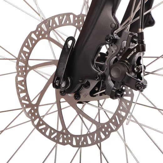 Vorderrad mit Scheibenbremse am Saxonette Comfort Sport EASY E-Bike