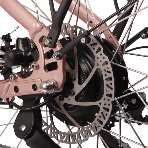 Seitenansicht des Hinterrades mit Schaltung am Saxonette Comfort Sport EASY E-Bike