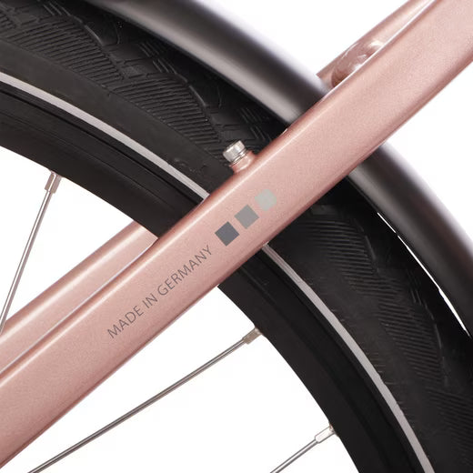 Rahmenkreuzung mit Lackdetail am Saxonette Comfort Sport EASY E-Bike