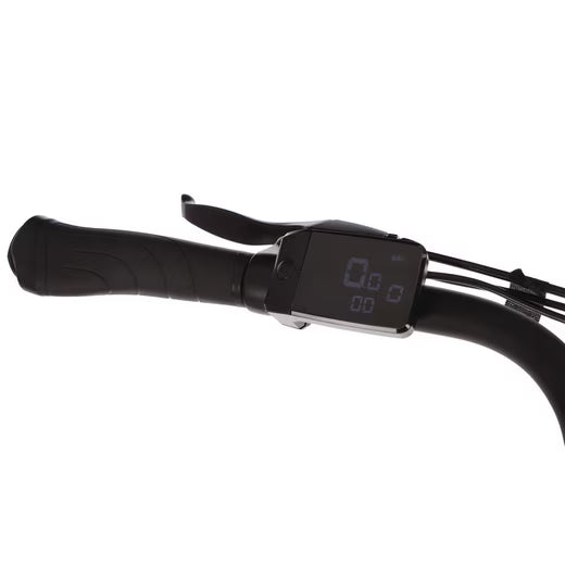 Lenkeransicht mit Bedienelementen am Saxonette Comfort Sport EASY E-Bike