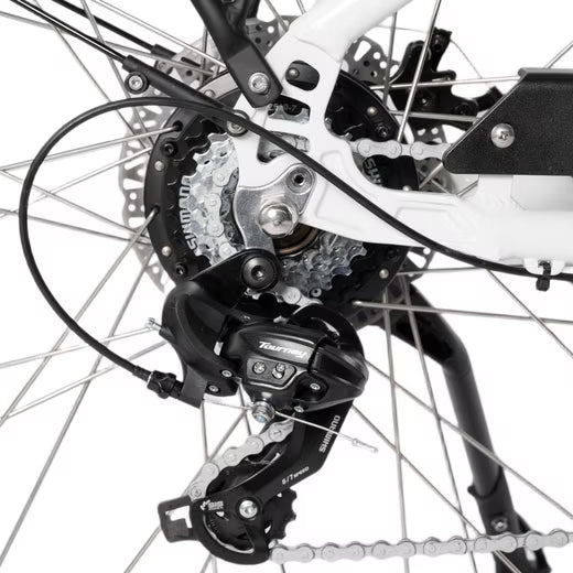 Nahaufnahme des Hinterrads mit Antrieb am Saxonette Comfort Sport EASY E-Bike